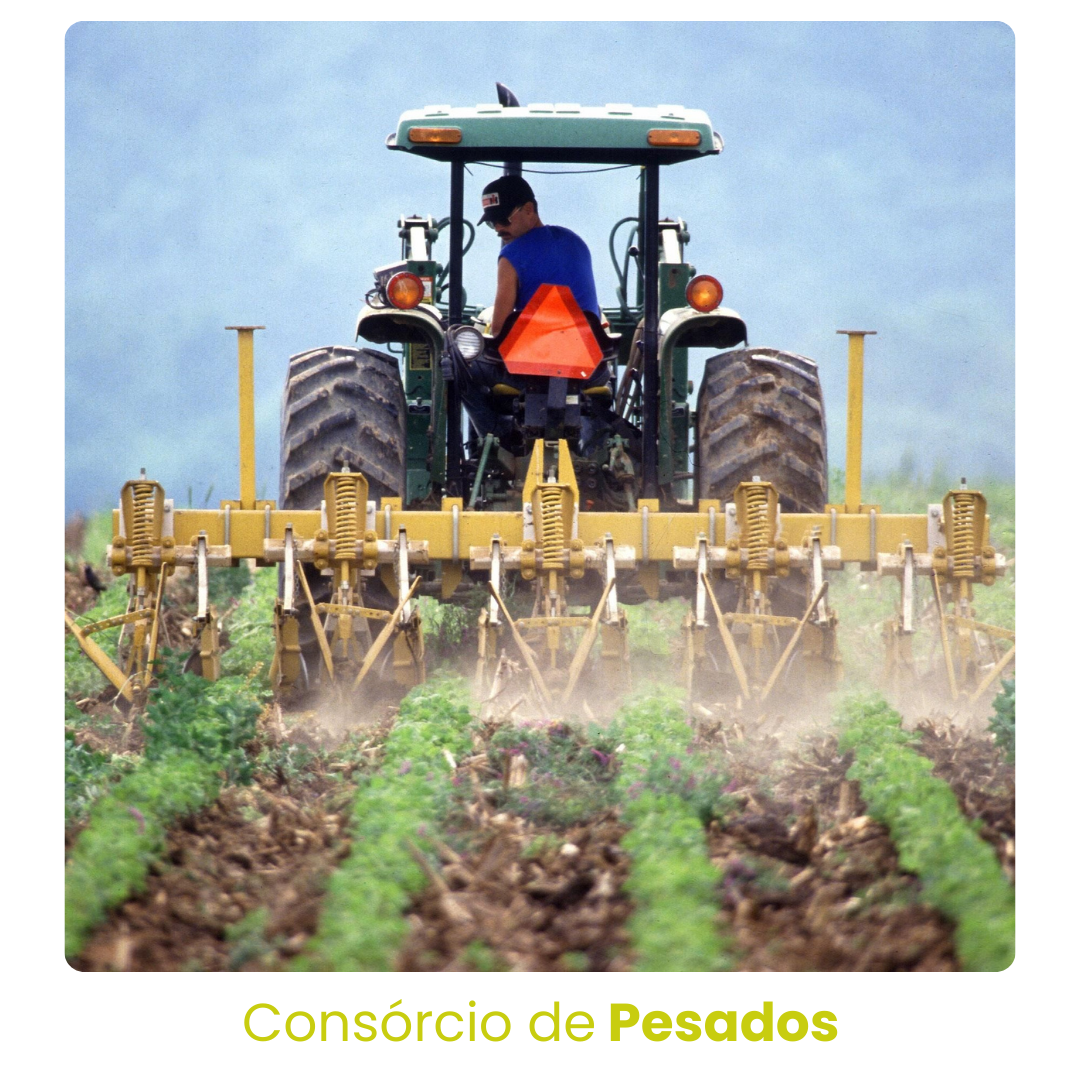 Consórcio de Pesados